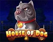 HOUSE OF DOG MC